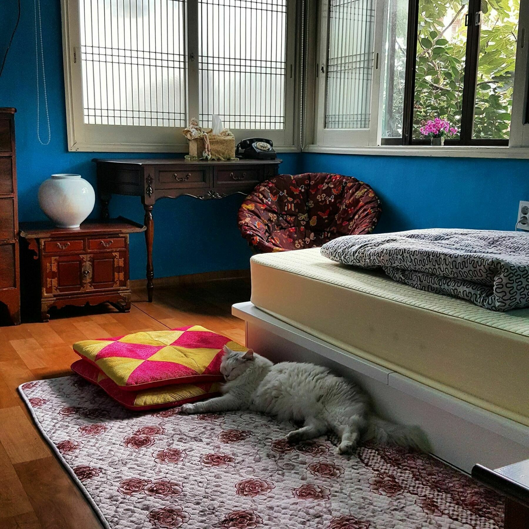 Camino B&B 창원 외부 사진